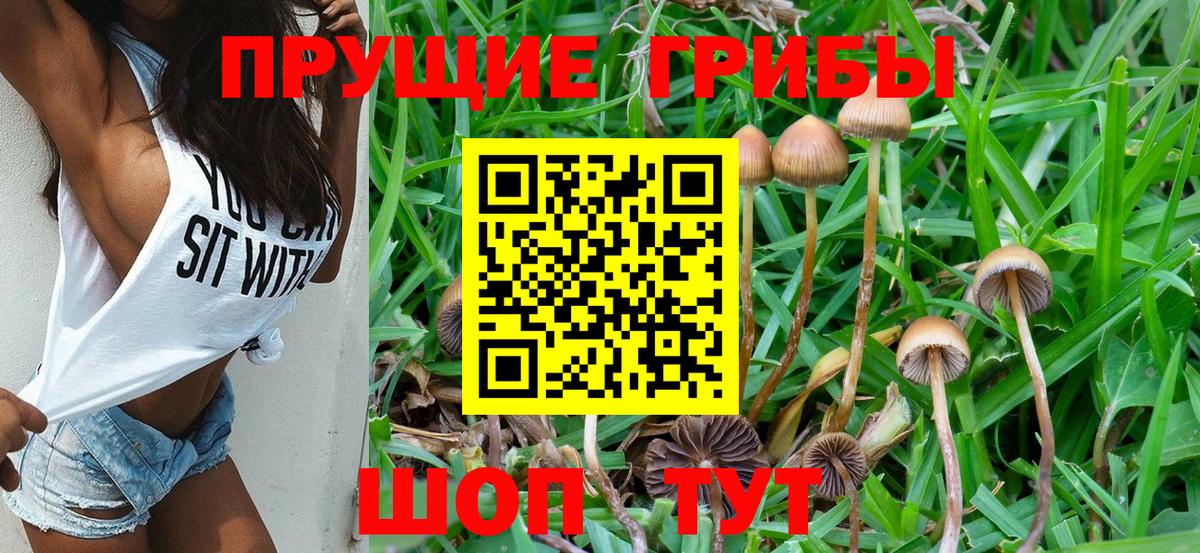 Псилоцибиновые грибы Psilocybe  продажа наркотиков  Муравленко  Вход с VPN 